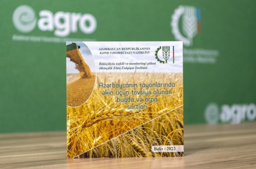 “Azərbaycanın rayonlarında əkin üçün tövsiyə olunan buğda və arpa sortları” adlı kataloq çap olunub