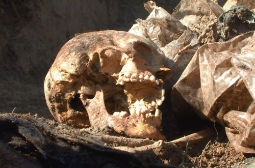 Эксгумируются более 450 человеческих останков предположительно пропавших без вести лиц