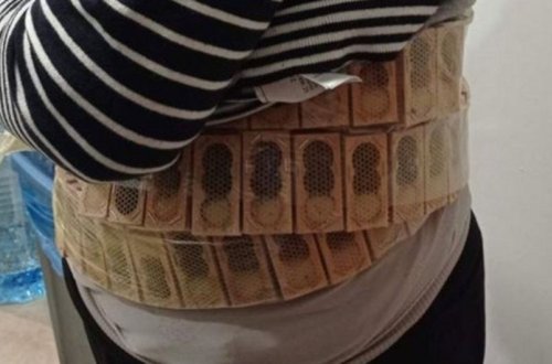 Gürcüstan-Türkiyə sərhədində bədənində 1100 arı daşıyan şəxs saxlanılıb