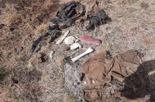 Kəlbəcərdə insan skeleti tapıldı: Ermənilərin işgəncə ilə öldürdükləri ehtimal edilir