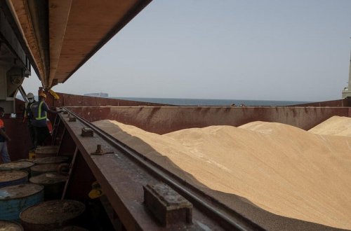 BMT taxıl müqaviləsi çərçivəsində gəmiləri yoxlamağa davam edəcək
