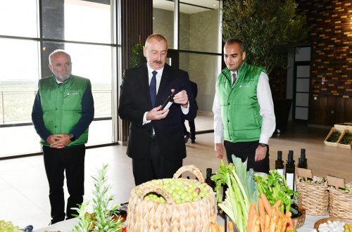 Prezident Zirədə zeytun emalı zavodunun açılışında iştirak edib - YENİLƏNİB