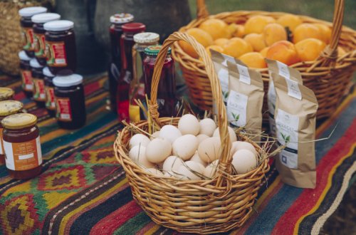 “Şəhərdən Kəndə” layihəsi çərçivəsində Zaqatalada fermer təsərrüfatına dəstək göstərilib