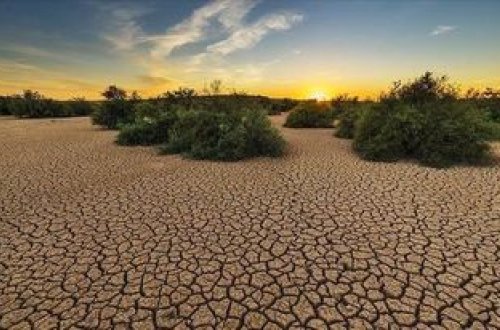 Afrika inkişaf etmiş ölkələrin Paris razılaşmasındakı vədlərinə əməl etmələrini istəyir