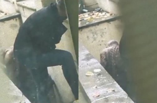 Kliniki Tibbi Mərkəzin həyətində narkomanlar peyda olub - VİDEO