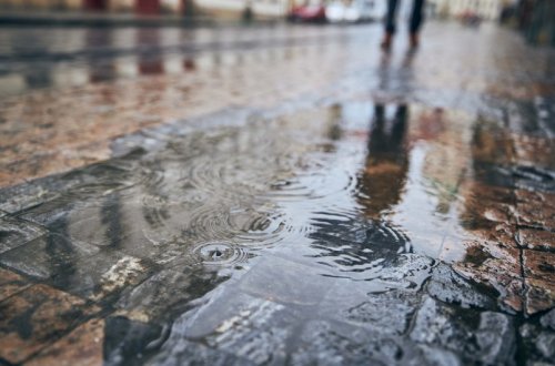 Sabah yağış yağacaq, külək əsəcək