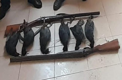 Şabranda ov edənlər saxlanılıb - FOTO