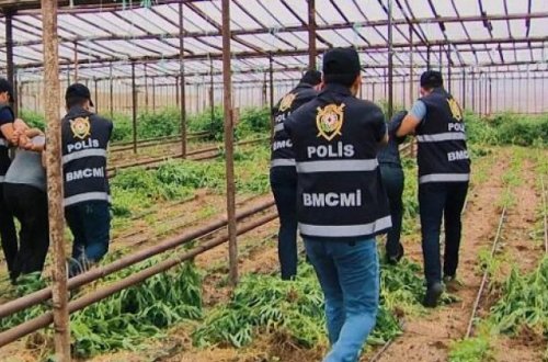 Ağdaş polisindən əməliyyat: 9 nəfər saxlanıldı