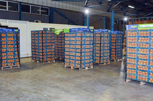 Külli miqdarda siqareti portağal yeşiklərinin arasında gizlətdi