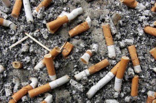 Siqaret kötüklərini yerə atdıqlarına görə cərimələnən şəxslərin sayı açıqlanıb