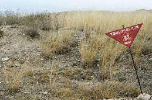 Ombudsman Sarıbabada aşkar edilmiş mina sahəsi ilə bağlı açıqlama yayıb