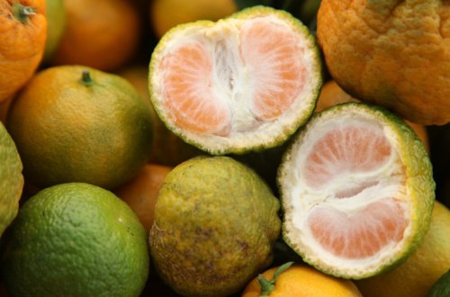 Həftəsonu Bakı və Abşeronda “Kənddən Şəhərə” yarmarkaları keçiriləcək