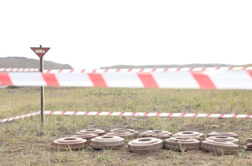 Son dörd ayda Kəlbəcər və Laçında 2 728 mina aşkarlanıb