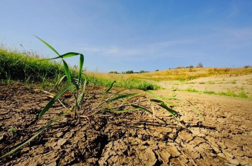 Azad edilmiş ərazilərdə torpaqların kateqoriyasının dəyişdirilməsinin sadələşdirilmiş qaydası təsdiq edilib