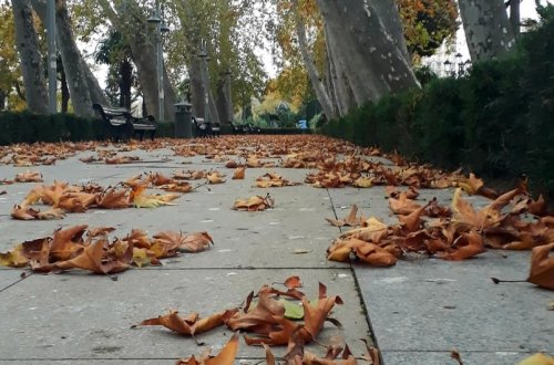 Sabah temperatur aşağı enəcək, güclü külək əsəcək, yağıntılar intensivləşəcək