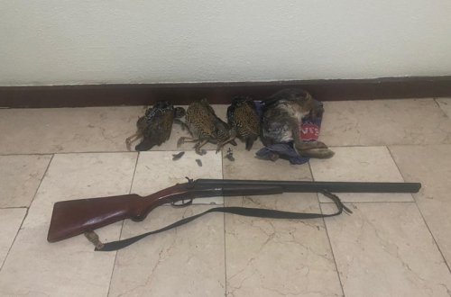 Kürdəmirdə qanunsuz ov edən şəxs saxlanılıb