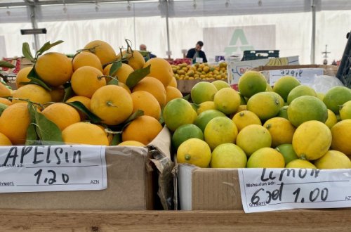 Həftəsonu Bakı və Abşeronda “Kənddən Şəhərə” yarmarkaları təşkil olunacaq