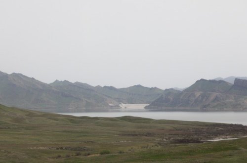 Qarabağda fındıq ağaclarının əkilməsinə başlanılıb