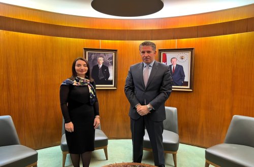 Leyla Abdullayeva Türkiyənin Fransadakı səfiri ilə görüşüb