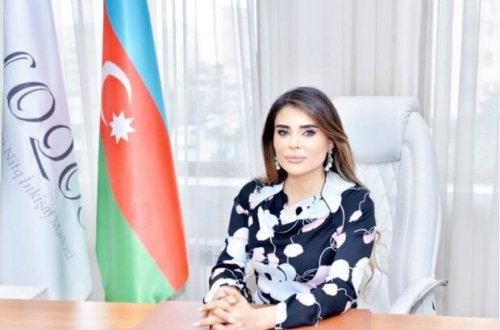 Təranə Paşayeva: “Baş verən hadisə cəmiyyət üçün xəbərdarlıq siqnalı kimi dəyərləndirilməlidir”