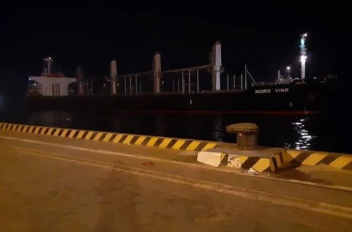 Ukrayna taxılını daşıyan ilk gəmi Efiopiyaya çatıb