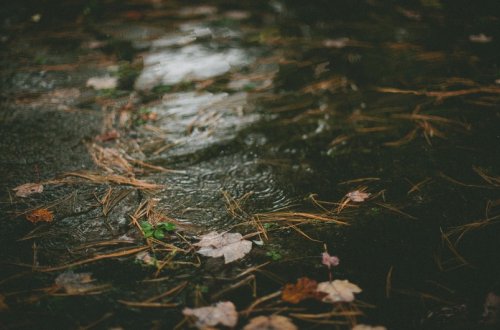 Sabahın hava proqnozu açıqlanıb