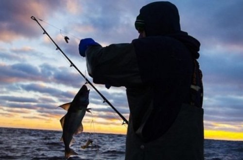 Qanunsuz ov edənlər cəzalandırıldı