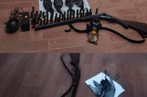 Masallıda qanunsuz ov edən şəxslər saxlanılıb