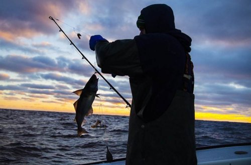 Ekologiya və Təbii Sərvətlər Nazirliyinin əməkdaşlarına qarşı zor tətbiq olundu - MİNGƏÇEVİRDƏ