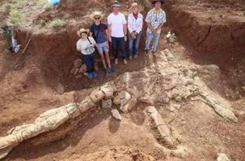 Avstraliyada 100 milyon il əvvələ aid fosil tapıldı