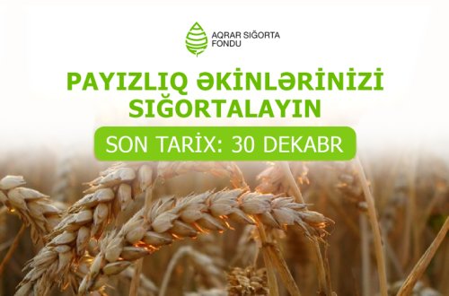 Aqrar Sığorta Fondu fermerlərə müraciət edib: “Payızlıq əkinlərinizi dekabrın 30-dək sığortalayın”
