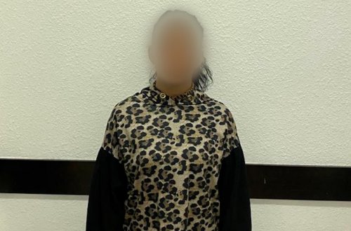 Bakıda işlədiyi uşaq evindən oğurluq edən qadın saxlanılıb