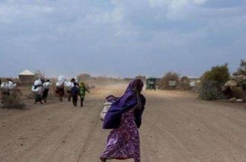 Çadda 27 miqrantın cəsədi tapılıb