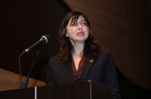 Xaricdə yaşayan Azərbaycan vətəndaşlarının sayı açıqlanıb