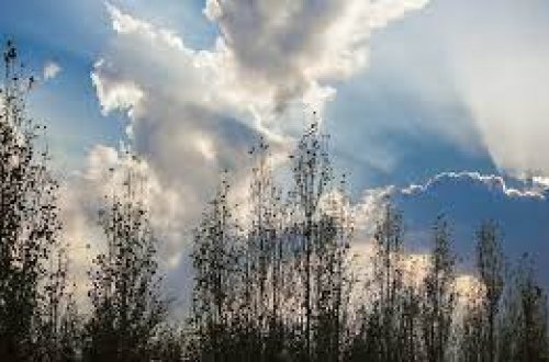 Bazar gününə olan hava proqnozu açıqlanıb