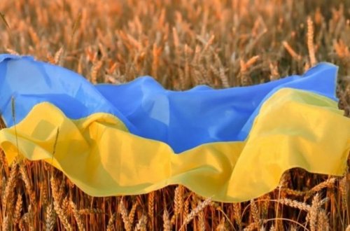 Ukraynadan dünya ölkələrinə ixrac olunan taxılın miqdarı 14 milyon tonu keçib