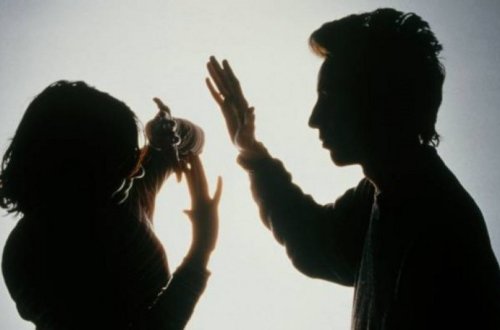 Məişət zorakılığı ilə bağlı daha 3 qeyri-dövlət yardım mərkəzi akkreditə olunub