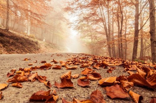 Bakıda duman olacaq, bəzi rayonlara yağış, qar yağacaq