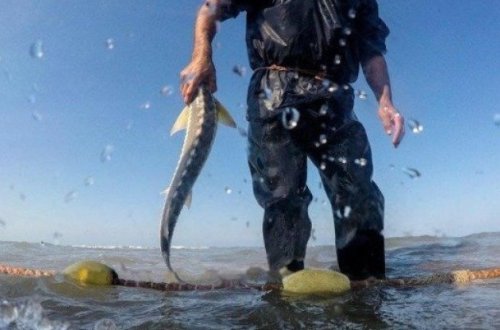 Qanunsuz ov edənlər cəzalandırıldı