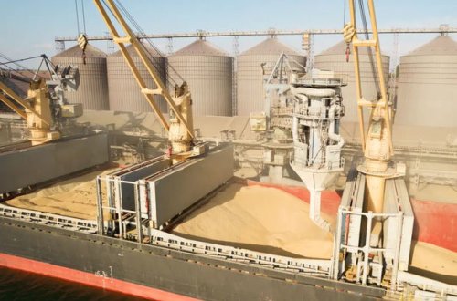 Rusiya ilk dəfə Türkiyəyə rublla taxıl tədarük edib