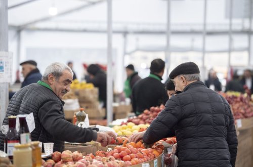 “Kənddən Şəhərə” Yeni il yarmarkasında aqroekoturizm layihələrinin təqdimatı keçiriləcək