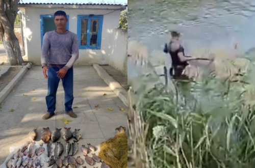 Brakonyerliklə məşğul olan şəxs tutuldu - FOTO/VİDEO