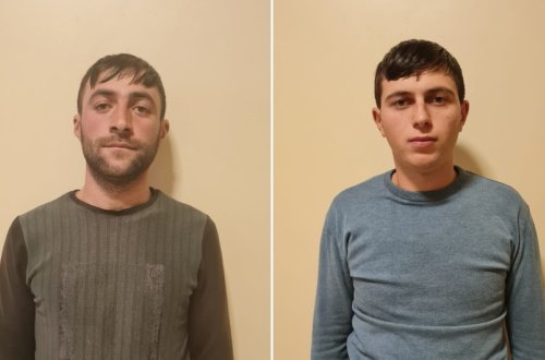 Göygöldə it döyüşdürən şəxslər saxlanılıb