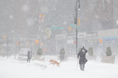 ABŞ-da çovğuna görə 10 nəfər ölüb, milyon abonent elektriksiz qalıb