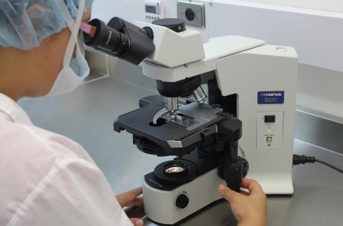 “Beyin yeyən” parazitlə ilk yoluxma halı qeydə alınıb