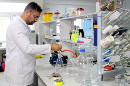 Konserv məhsulundan görün nə çıxdı – FOTO