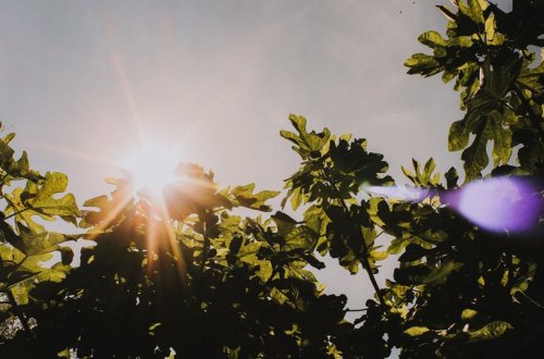 İlin son gününə olan hava proqnozu açıqlanıb