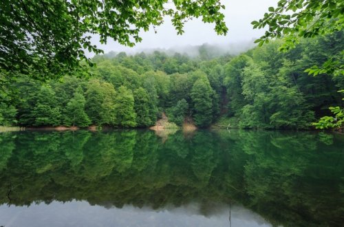 Bayram günlərində milli parklara giriş ödənişsiz olacaq