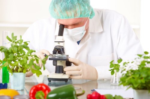 “Qida təhlükəsizliyi haqqında” qanun bu gündən qüvvəyə minir