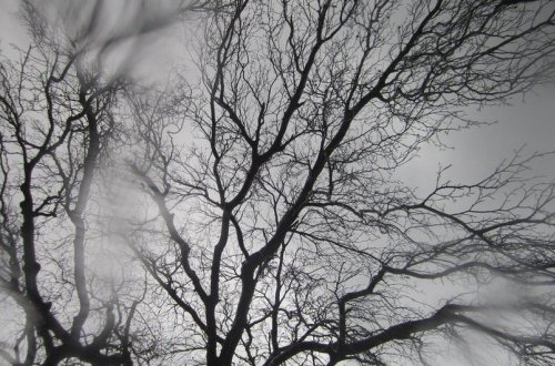 Sabahın hava proqnozu açıqlanıb